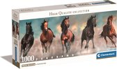 PZL 1000 PANORAMA COMPACT BOX HORSES