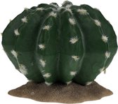 Echinocactus 2 16,5x15,5x13cm vert