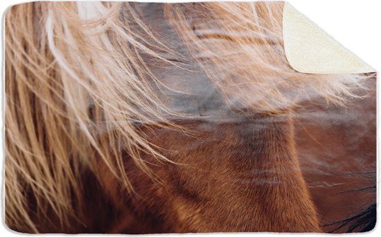 Fleecedeken Pony, 96x146cm, Polyester Sherpa, FD2023220, deken met print