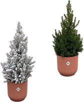 Kerstboom + Kerstboom met sneeuw inclusief elho Vibes Fold Round roze - Potmaat 22cm - Hoogte 60cm