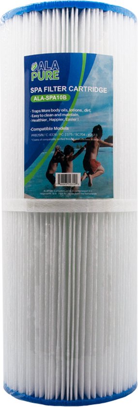 AllSpares Spa waterfilter (2X) geschikt voor SC704 / 42513 / C-4326 / RD25 / PRB25-IN/FC-2375
