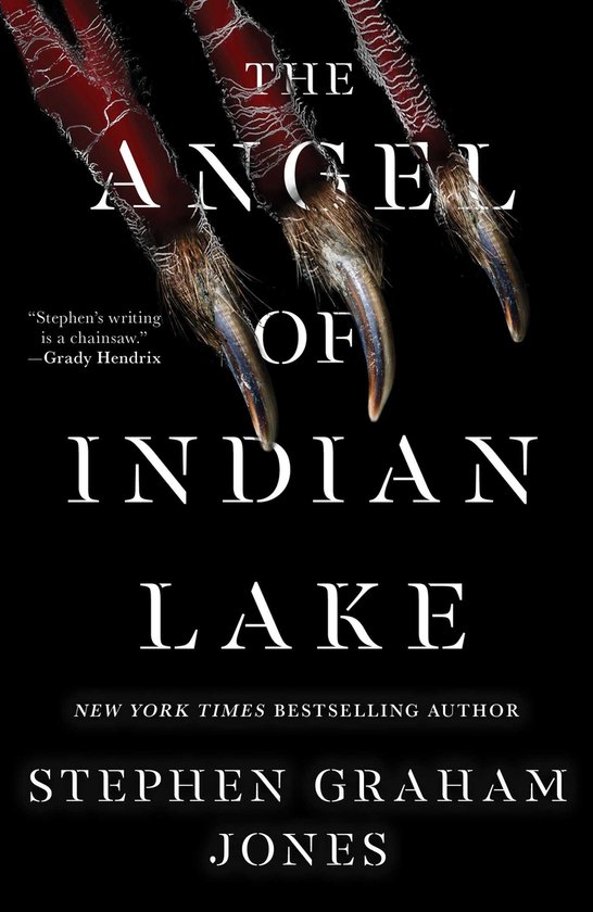 The Indian Lake Trilogy-The Angel of Indian Lake - cover