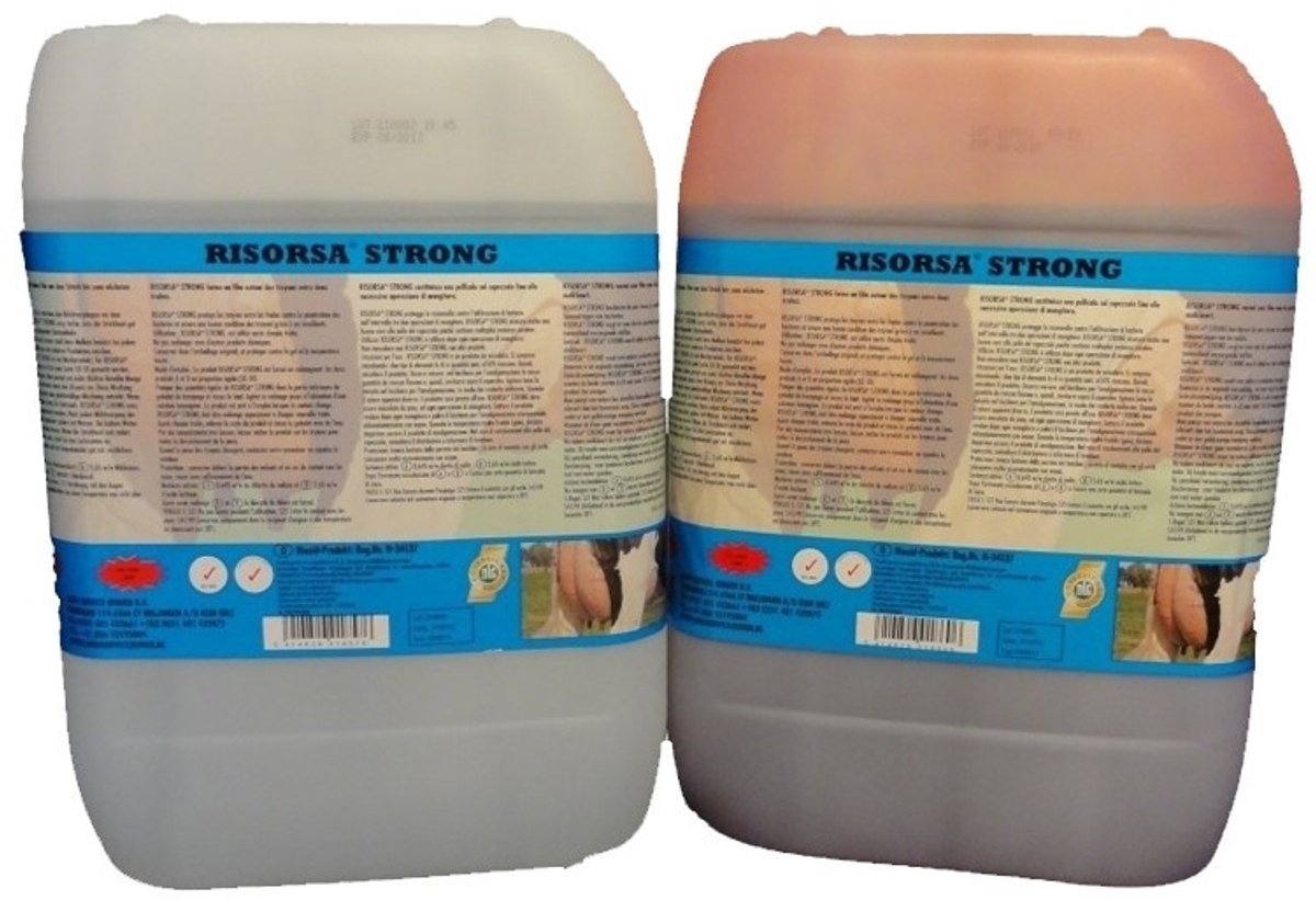 Risorsa Strong A+B 2x20L