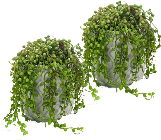 Kunstplant Senecio/erwtenplant - 2x - groen - in pot - 27 cm - hangplant