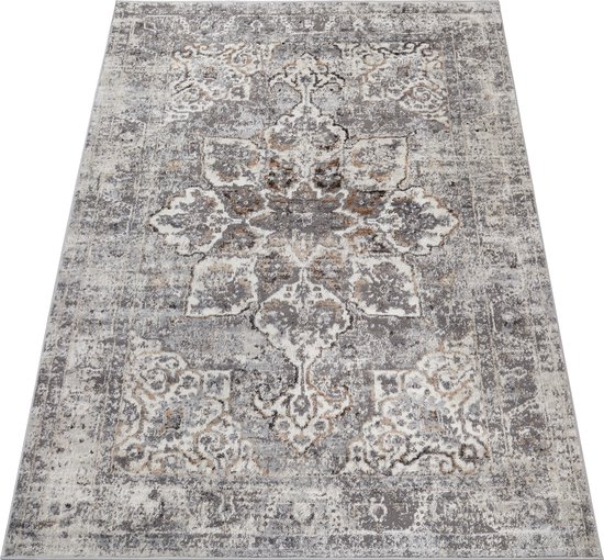 Tapiso Valley Tapis Salon Chambre Gris Clair Cadre Design Moderne Fleurs Durable Vintage Haute Qualité Tapis Taille - 200x300