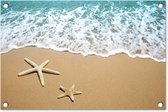 Tuindecoratie Zeester - Strand - Zee - 60x40 cm - Tuinposter - Tuindoek - Buitenposter