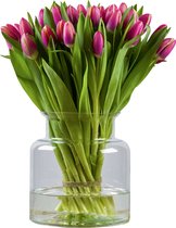 VeenseTulpen Bos Bloemen Boeket Multicolor (Vrolijk)- Tulpen 20 Stuks - Verse Bloemen - Echte Bloemen - Bloemstuk