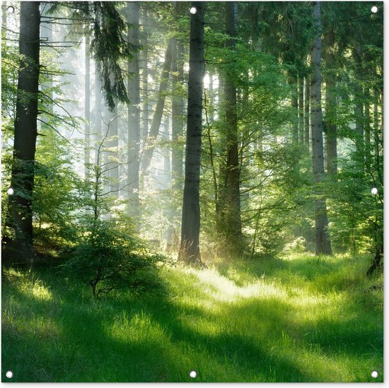 Tuinposter 100x100 cm - Tuindecoratie Natuur - Bomen - Bos - Groen - Zon - Gras - Planten - Poster voor in de tuin - Buiten decoratie - Schutting tuinschilderij - Tuindoek muurdecoratie - Wanddecoratie balkondoek