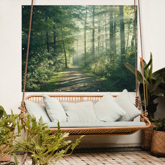 Un sentier forestier avec des rayons de soleil, accroché à un mur au-dessus d'une balançoire.