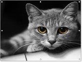 Affiche de jardin - Toile de jardin - Posters de jardin extérieur - Chat - Animal - Macro - 120x90 cm - Jardin