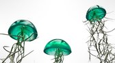 Set van drie glazige Jellyfish luchtplanten groen/kleur/airplants/luchtplantje/Spaans mos/Tillandsia/makkelijke plant/hangplant/epoxy