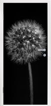 Sticker de porte Pissenlit - Zwart - Fleurs - Botanique - 90x235 cm - Poster de porte