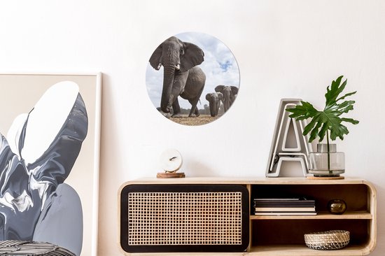 Wall Circle - Wall Circle Indoor - Troupeau d'éléphants - ⌀ 30 cm - Décoration murale - Peintures Ronds