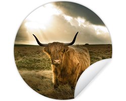 WallCircle - Muurstickers - Behangcirkel - Schotse hooglander - Zon - Gras - ⌀ 120 cm - Muurcirkel - Zelfklevend - Ronde Behangsticker XXL