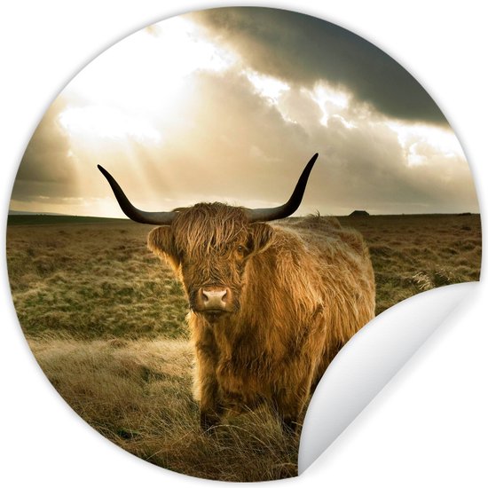 WallCircle - Muurstickers - Behangcirkel - Schotse hooglander - Zon - Gras - ⌀ 120 cm - Muurcirkel - Zelfklevend - Ronde Behangsticker XXL