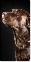 Schuttingposter Hond - Bruin - Portret - 100x200 cm - Tuindoek