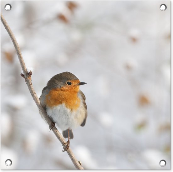 Tuinposters Vogel - Roodborstje - Winter - 50x50 cm - Tuindoek - Buitenposter