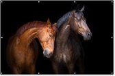 Muurdecoratie Paarden - Dieren - Portret - Bruin - 180x120 cm - Tuinposter - Tuindoek - Buitenposter