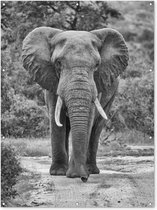 Affiche de jardin centrée éléphant noir et blanc 100x200 cm - Photo sur affiche de jardin / Peintures pour l'extérieur (décoration de jardin)
