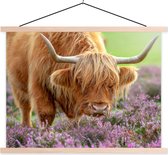 Posterhanger incl. Poster 120x90 cm - Schoolplaat - Schotse Hooglander - Paars - Bloemen - Textielposter - Blanke latten