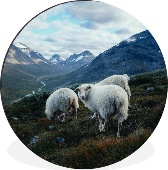 WallCircle - Cercle mural - Cercle mural - Mouton - Nature - Montagnes - Aluminium - Dibond - 90x90 cm - Intérieur et Extérieur