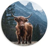 WallCircle - Wandcirkel schotse hooglander 30x30 cm - Ronde dieren schilderijen woonkamer - Wandbord rond - Wandschaal keuken - Muurdecoratie natuur cirkel - Huis kamer decoratie binnen - Wanddecoratie muurcirkel - Woonaccessoires