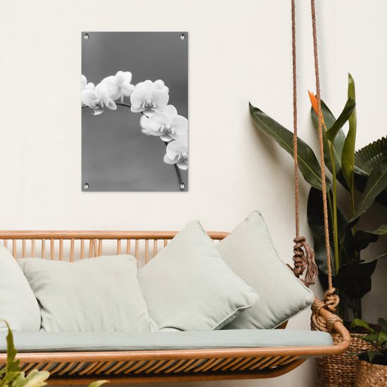 Décoration de jardin Orchidée - Fleurs - Plante - Wit - Violet - 40x60 cm - Poster jardin - Toile jardin - Poster extérieur