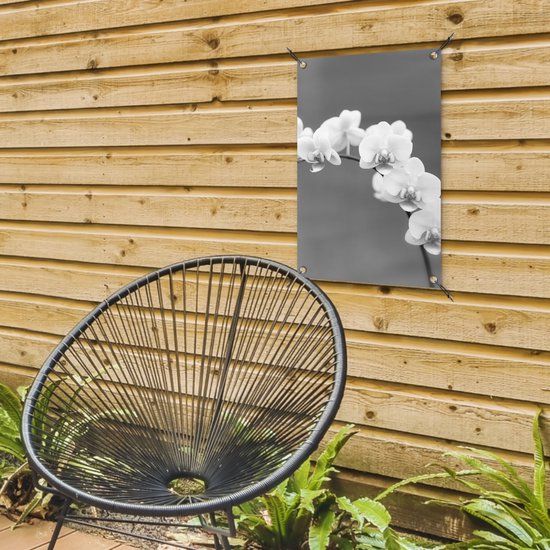 Décoration de jardin Orchidée - Fleurs - Plante - Wit - Violet - 40x60 cm - Poster jardin - Toile jardin - Poster extérieur