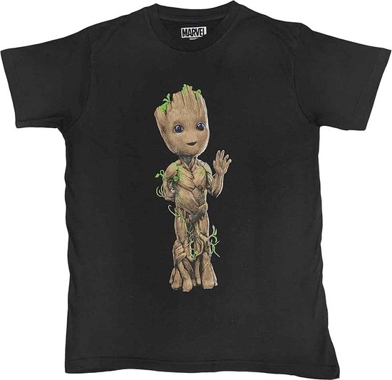 Foto: Marvel guardians of the galaxy groot wave heren t shirt l zwart