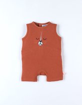 Noukie's - Jumpsuit - baby jongens 74