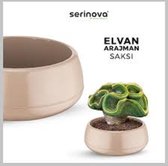 Sierpotten mokka S Elvan Arrangement Pot - Set van 3 lage taupe bloempotten met drainagesysteem