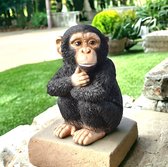 Beeldje chimpansee jong