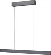 Paul Neuhaus - Hanglamp e-Lift L 120 cm donker grijs