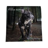 Franse Bulldog Kalender - 44x22cm - Nietjes kalender - 6 talen - Inclusief boorgaatje - 1 September 2024 t/m 31 December 2025