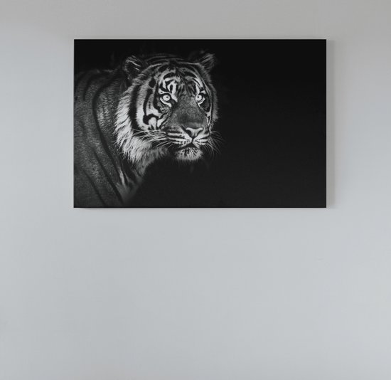 Canvas Schilderij Dieren - Tiger - Grijs - Dieren - Schilderijen Op Canvas - Wanddecoratie