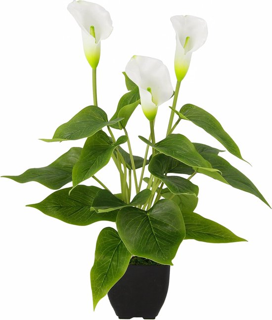Kunstplant Calla in pot, kunstbloemen, zijden bloemen, kunststof, kunstdecoratie, nep echte aanraking, groene plant, exotische lelie, grafdecoratie, 021140W, wit, 42 x 20 x 20 cm