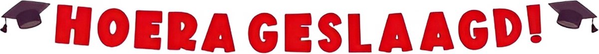 Letterslinger | Geslaagd school | Kleur: Rood | Lengte: 3 meter