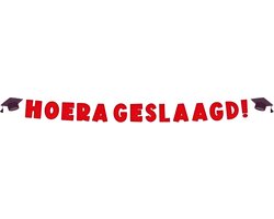 Paperdreams Letter banner - Geslaagd school 17x250cm | Letterslinger Hoera Geslaagd Feest | Geslaagd Versiering | Rijbewijs | Eindexamen | Diploma | Thuisstudie