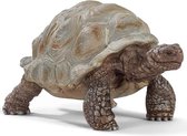 Schleich Wild Life - Reuzenschildpad, Speelfiguur voor Kinderen 3+