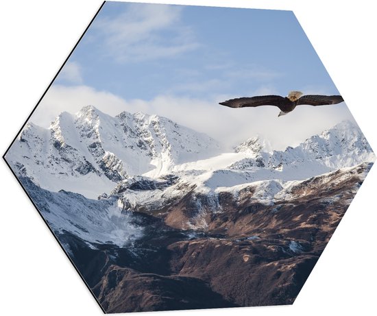 Dibond Hexagon - Bergen - Vogel - Adelaar - Sneeuw - 80x69.6 cm Foto op Hexagon (Met Ophangsysteem)