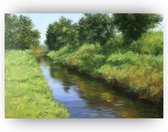 Beekje in de zomer schilderij - Rivier schilderij - Schilderijen natuur - Landelijke schilderijen - Schilderijen plexiglas - Wanddecoratie slaapkamer - 90 x 60 cm 5mm