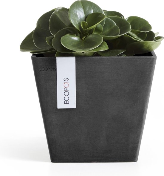 Ecopots Rotterdam 20 - Gris Foncé - 20,3 x H17,8 cm - Pot de fleur / jardinière carré gris foncé