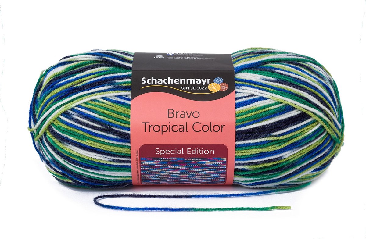 Schachenmayr Bravo Color 50 Gram - 2130