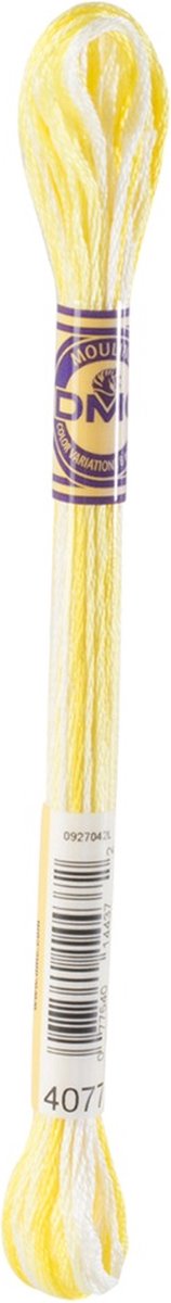 DMC 4077 Mouliné Color Variations borduurgaren