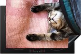 KitchenYeah® Inductie beschermer 81.2x52 cm - Slapende kat op een kleed - Kookplaataccessoires - Afdekplaat voor kookplaat - Inductiebeschermer - Inductiemat - Inductieplaat mat