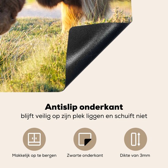 KitchenYeah® Inductie beschermer 78x52 cm - Schotse Hooglanders - Dieren - Zon - Kookplaataccessoires - Afdekplaat voor kookplaat - Inductiebeschermer - Inductiemat - Inductieplaat mat