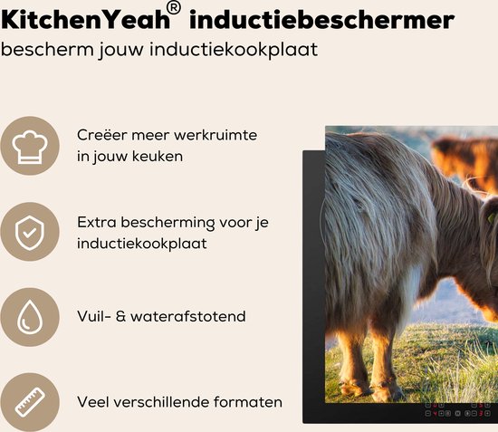 KitchenYeah® Inductie beschermer 78x52 cm - Schotse Hooglanders - Dieren - Zon - Kookplaataccessoires - Afdekplaat voor kookplaat - Inductiebeschermer - Inductiemat - Inductieplaat mat