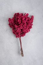 Couronne - Decoratiemateriaal 'Pepperberry' (200gr, Cerise)