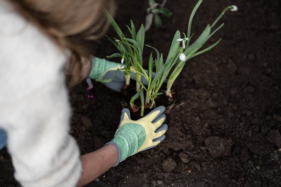 Groene handschoenen met geel manchet, helpen bij het planten van een kleine plant met witte bloemen in de aarde.