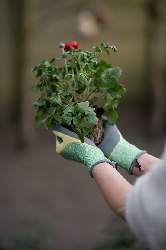 Groene handschoenen met geel manchet, houden een kleine plant vast met een rode bloem.